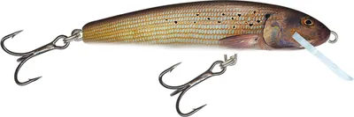 Produktbild von Salmo Minnow Wobbler Grayling 6cm sinkend