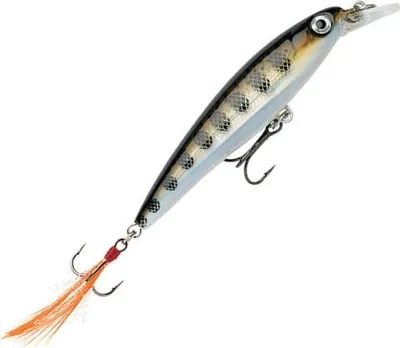 Obrázek produktu pro Rapala XR06, 4 g, 6 cm, 0,9 m, 1,5 m