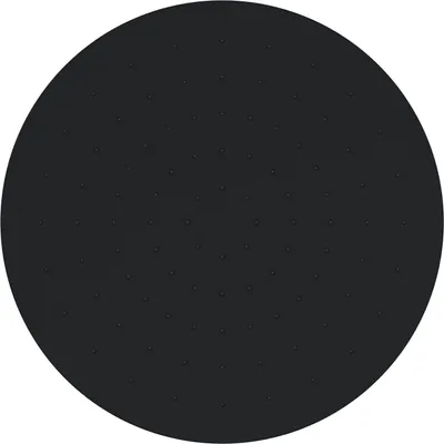 Produktbild von Regendusche ABS-Duschkopf D2250 - ABS - rund - selbstreinigend - Ø 225  mm, Farbe:Schwarz matt