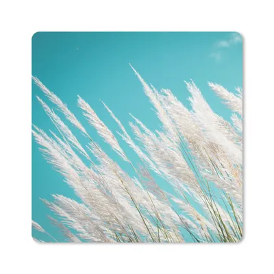 Produktbild von MuchoWow® Mauspad Mousepad Pampasgras - Pflanze 30x30 cm - Mousepads - Maus Mat - Pad - Mausunterlage - Gaming