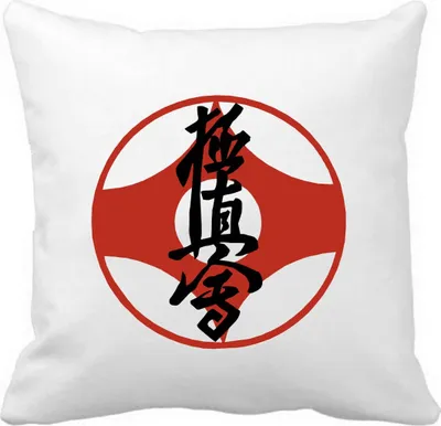 Produktbild von Kissen Kyokushinkai