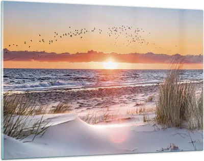Produktbild von Bilder auf glas - Einteilig - Sonne Strand Vögel - 120x80cm - Glasbilder - Wandbilder - Bilder - zum Aufhängen bereit - Wanddekoration aus Glas - Glas Bilder - Wandbild auf Glas - GAA120x80-4727