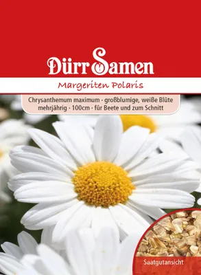 Produktbild von Dürr-Samen - Margeriten Polaris weiß mehrjährig 100 cm - Saatgut - 1370