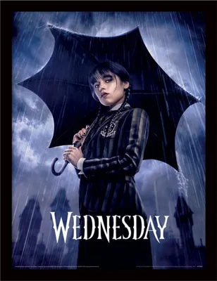Immagine prodotto di Poster incorniciato Wednesday - Downpour