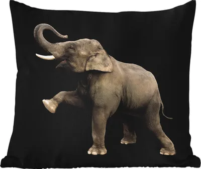 Produktbild von MuchoWow® Outdoor Kissen - Elefant - Tiere - Schwarz - Porträt - 50x50 cm - Wetterfest - Lounge Kissen - Komfortabel - Kissen mit Bild