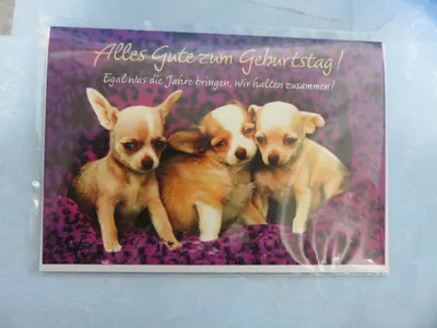 Produktbild von Cartolini Klappkarte Motiv 59 4010070221515