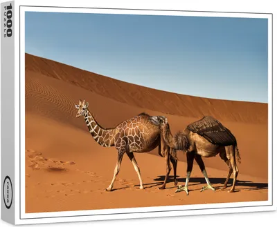 Image de puzzle raxxa Premium "Kameloide", 1000 pièces