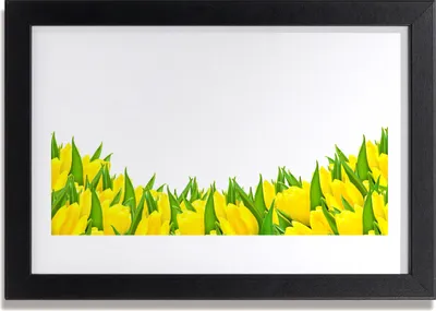 Produktbild von Bild 30x20 MDF-Rahmen Wandkunst Tulpen Blumen Natur