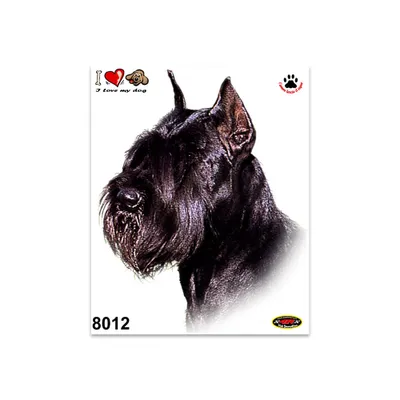 Produktbild von ABARTH Aufkleber Schnauzer 14 x 16 cm für Helm Auto Motorrad
