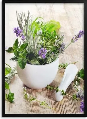 Produktbild von Poster Wandbilder für die Wand 50x70 Küche Deko für die Küche Kräuter