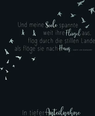 Produktbild von Trauer  Beileid  Kondolenz - Trauerkarte im Format 11,5 x 17