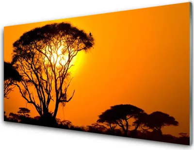 Produktbild von Acrylglasbilder 100x50 Wandbild Druck Bäume Sonne Natur