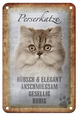 Produktbild von Blechschild Spruch 12x18cm Perserkatze Katze hübsch