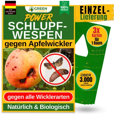 Produktbild von Green Guardia Schlupfwespen gegen Apfelwickler -3x Karten 1x Lieferung- Biologisches Mittel gegen Apfelwickler, Chemiefrei Apfelwickler bekämpfen