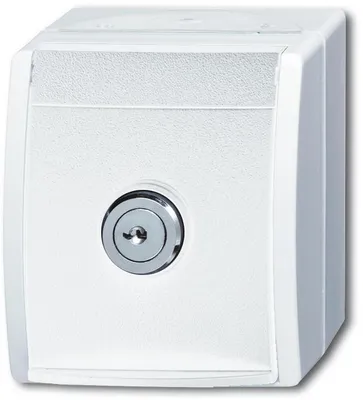 Immagine prodotto di Busch-Jaeger 4011395079638 Steckdose Typ F Weiß (2CKA002083A0833)