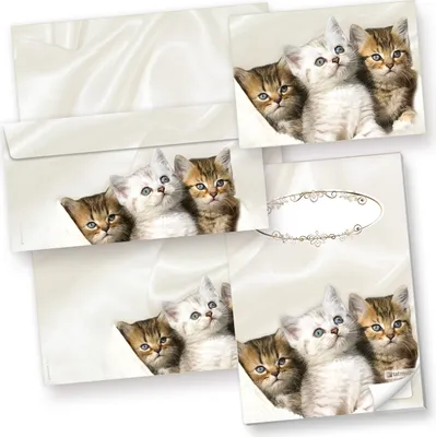 Produktbild von Briefpapier Katzen mit Umschlag (25 Sets) inkl. 3 Postkarten + Schreibblock