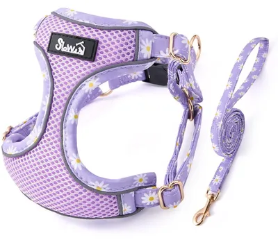 Imagen del producto de Arnés ajustable para perros con detalles reflectantes