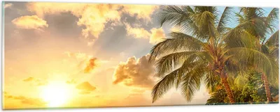 Produktbild von Bilder auf glas - Strand Meer Palme - 90x30cm - Glasbilder - Wandbilder - Kunstdruck - zum Aufhängen bereit - Wanddekoration aus Glas - Glas Bilder - Wandbild auf Glas - Einteilig - GAB90x30-3606