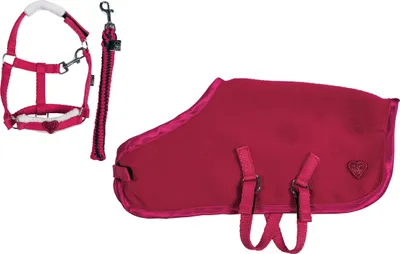 Immagine prodotto di Set iniziale HKM Cuddle Pony