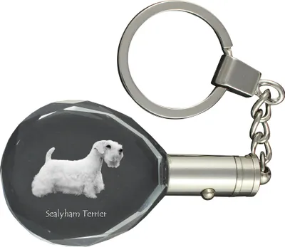 Produktbild von Sealyham Terrier - Anhänger mit einem Foto eines Hundes, Schlüsselanhänger aus Kristall in einer Geschenkbox, ein einzigartiges Geschenk von Art-Dog