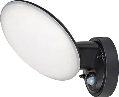 Image de Rabalux Black Luminaire LED avec détecteur de mouvement Varna 12W IP54 8135