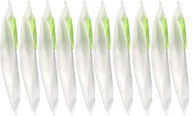 Image de INF Lot de 10 sacs d'aspirateur blancs compatibles Gtech Pro ATF301