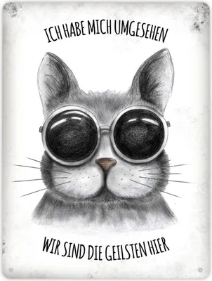 Produktbild von Metallschild XL mit Katze Motiv und Spruch: Ich habe mich umgesehen - ...