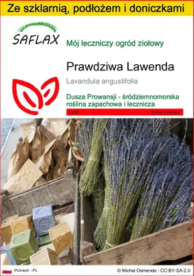 Zdjęcie produktu dla SAFLAX - Zestaw do uprawy - Prawdziwa Lawenda - 150 Nasiona - Z mini szklarnią, podłożem uprawowym i 2 doniczkami - Lavandula angustifolia