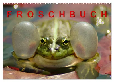 Produktbild von FROSCHBUCH (Wandkalender 2027 DIN A2 quer), CALVENDO Monatskalender
