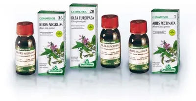 Immagine prodotto di Gemmosol 37 Rosa Canina 50 Ml
