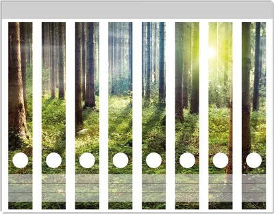 Produktbild von Wallario Ordnerrücken Sticker, selbstklebend für schmale Ordner, 8 Stück, Motiv Sonnenuntergang im Wald zwischen den Bäumen