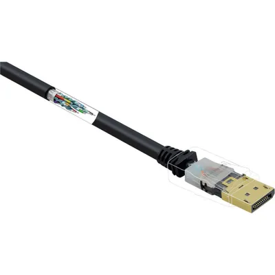 Imagen del producto de Cable de conexión DisplayPort de Renkforce. Conector DisplayPort, conector DisplayPort. Longitud: 0,50 metros. Color: . Resolución: UHD 4K a 60 Hz. Con contactos dorados