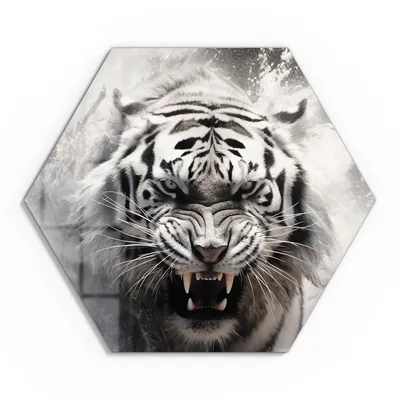 Produktbild von DEQORI Glasbild Echtglas 55x48 cm 'Wasserschlag des Tigers' Wandbild Bild modern Deko