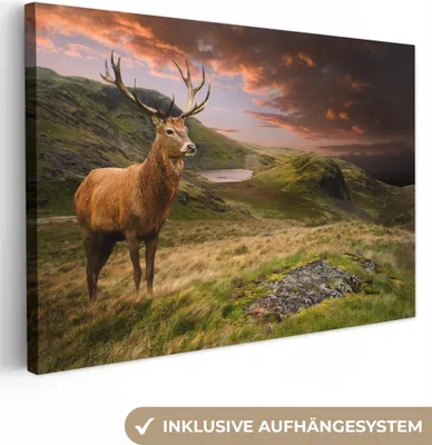 Obrázek produktu pro OneMillionCanvasses® - Plátno - Jelen - Hory - Příroda, nástěnný obraz, nástěnné dekorace obrazy obývací pokoj, 30x20cm