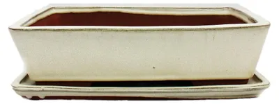 Immagine prodotto di vaso per bonsai con sottovaso, misura 5 - beige chiaro - quadrato - modello G30 - L 31 cm - P 23 cm - A 8 cm