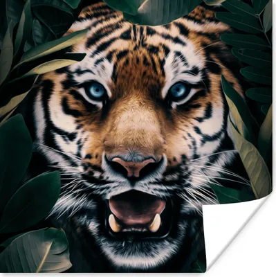 Produktbild von MuchoWow® Poster Tiger - Blatt - Tiere 100x100 cm - Babyzimmer