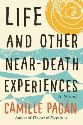 Produktbild von Life and Other Near-Death Experiences