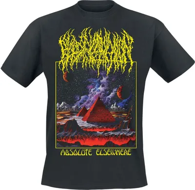 Produktbild von Blood Incantation T-Shirt Herren Absolute Elsewhere Album schwarz S