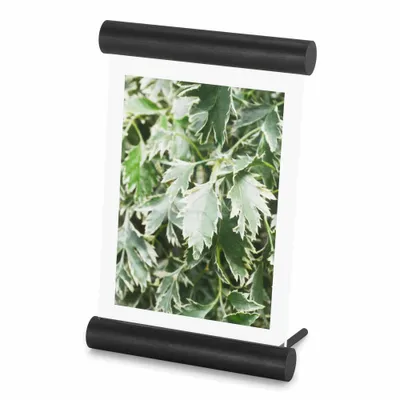 Immagine prodotto di Umbra Bilderrahmen Scroll, freistehender Tischbilderrahmen, Fotorahmen, Holz, Schwarz, Hoch- und Querformat, 13 x 18 cm, 1016770-040