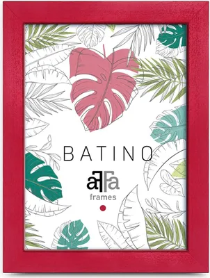 A red picture frame with a botanical print insert.