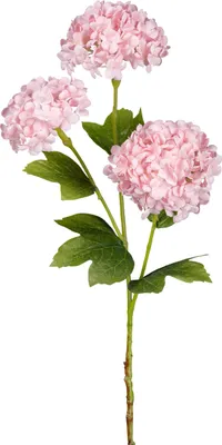 Produktbild von GASPER Schneeballzweig Rosa mit 3 Blütenbällen 60 cm - Kunstblumen