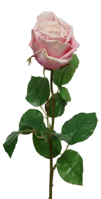 Produktbild von Rose am Stiel - Kunstblume - Real Touch Oberfläche - H: 68cm - rosa