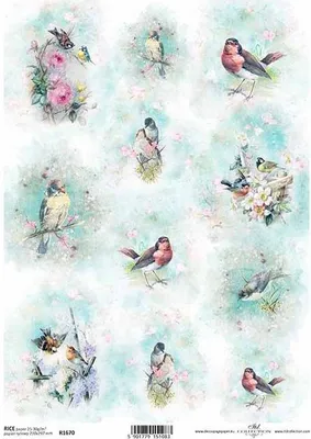 Produktbild von Reispapier für Decoupage, Aquarelle, Vögel, Frühling ITD-R1670 - A4