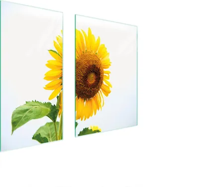 Produktbild von Herdabdeckplatten 2 teilig 75x52 Glaskeramikkochfeld Abdeckung Glas Schneidebrett Sonnenblume Gelb