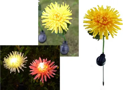 Zdjęcie produktu dla Lampka 2Szt  Solarna Kwiat Led - Chryzantema 40 Cm Nt2157