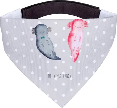 Produktbild von Mr. & Mrs. Panda Tuch Axolotl Freundin - Grau Pastell - Geschenk, Hundehalstuch, Halstuch Für Hunde, Dreieckstuch Hund, glücklich, Liebe, Ehemann, Lurch