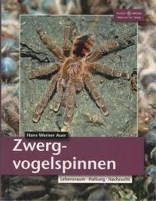 Image de Zwergvogelspinnen