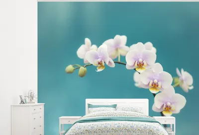 Produktbild von MuchoWow® Fototapete für Wohnzimmer oder Schlafzimmer Wandtapete Vinyl Motivtapete Orchidee - Blumen - Pflanze - Weiß - Lila - 375x300 cm - Tapezierpapier
