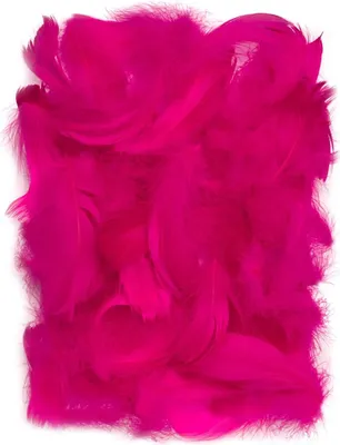Produktbild von Dunkelrosa Federn, 5–12 cm, 10 g