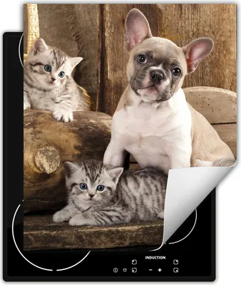 Produktbild von DarHaus Herdabdeckplatte 45x52 cm Anti Rutsch Matte Aufrollbar, Katzen und Hunde